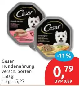 Budni Cesar Hundenahrung Angebot
