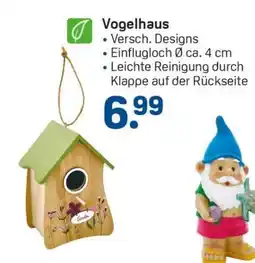 Rossmann Vogelhaus Angebot