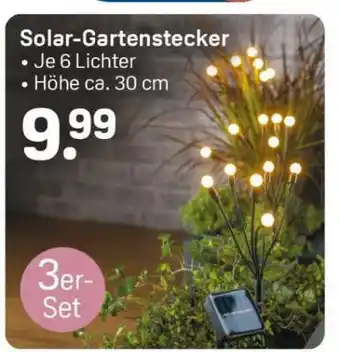 Rossmann Solar-Gartenstecker Angebot