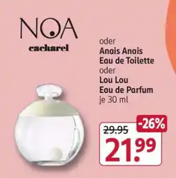 Rossmann NOA cacharel Angebot