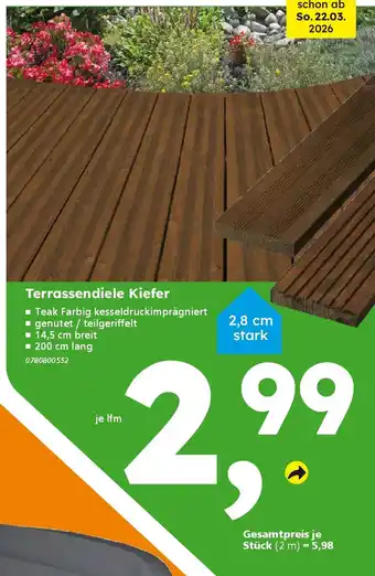 Globus Baumarkt Terrassendiele Kiefer Angebot