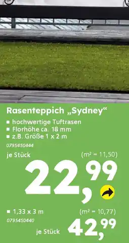 Globus Baumarkt Rasenteppich „,Sydney" Angebot