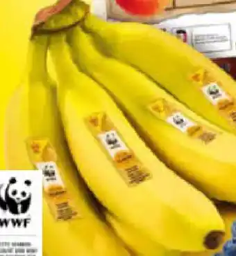 Netto Marken-Discount MarktTag Bananen Angebot