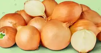 PENNY Marktliebe Zwiebeln Angebot