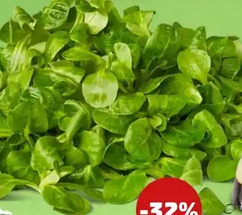 PENNY Marktliebe Feldsalat Angebot