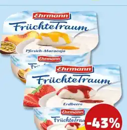 PENNY Ehrmann Früchtetraum Angebot