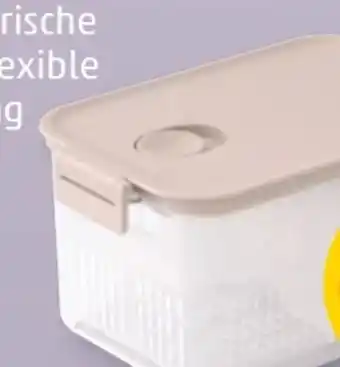 PENNY Brabantia Kühlschrank Frischhalteboxen Angebot