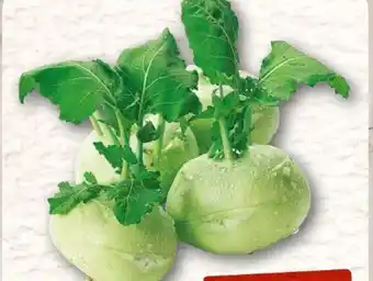 nahkauf Kohlrabi Angebot