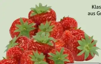 Edeka Xpress Erdbeeren Angebot