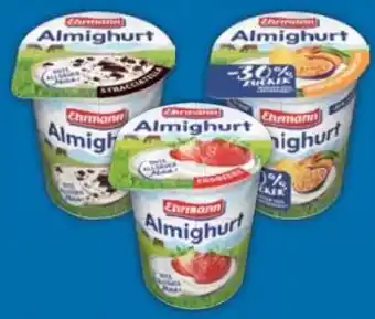 E-Center Ehrmann Almighurt Angebot