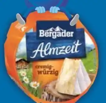 E-Center Bergader Almzeit Minitorte Angebot