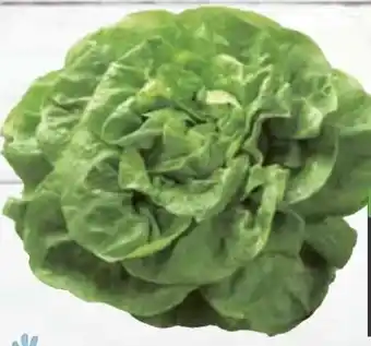 E-Center Kopfsalat Angebot