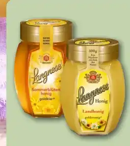 REWE Center Langnese Honig Angebot