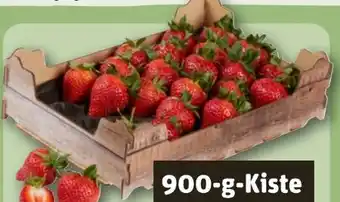 REWE Erdbeeren Angebot