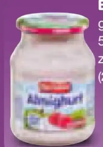 Netto Marken-Discount Ehrmann Almighurt Joghurt Angebot