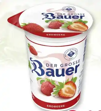 Scheck-in-Center Bauer Der Große Fruchtjoghurt Angebot