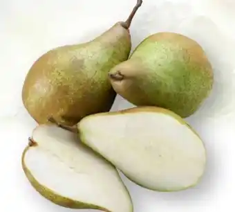 Scheck-in-Center Birnen Xenia Angebot