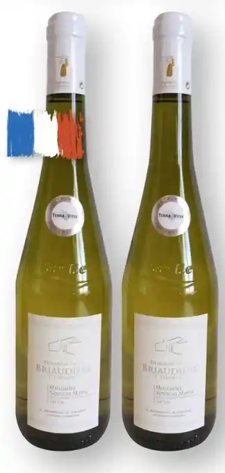 Scheck-in-Center Domaine de la Briaudière Muscadet Sèvre & Maine Sur Lie Angebot