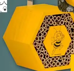 REWE Dobar Biene Maja und ihr Freund Willi Insektenhotel Angebot