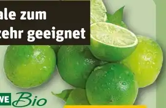 REWE Rewe Bio Limetten Angebot