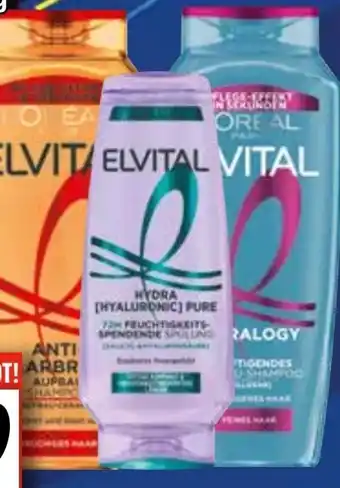 EDEKA Bandelt L'Oréal Paris Elvital Shampoo Angebot