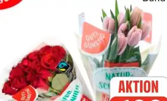Edeka Gut & Günstig Moosrosen Angebot