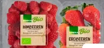 Edeka Edeka Bio Himbeeren Angebot