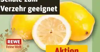 REWE Rewe Feine Welt Amalfi Zitronen Angebot