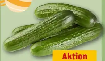 REWE Mini Gurke Angebot