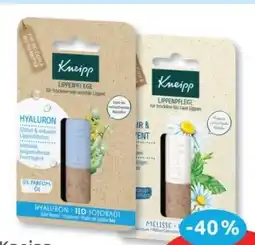 Budni Kneipp Lippenpflege Angebot