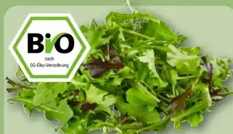 REWE Rewe Bio Crispy Salatmix Angebot