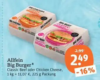 tegut Allfein big burger Angebot