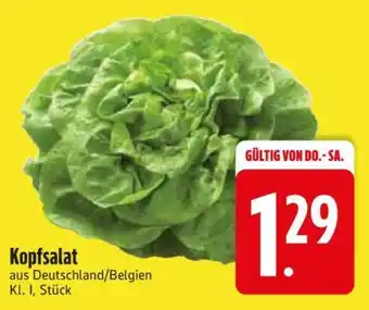 Edeka Kopfsalat Angebot