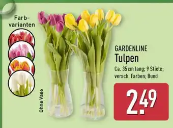 Aldi Nord GARDENLINE Tulpen Angebot