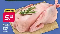 NETTO Frische junge Ente Angebot
