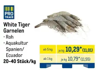 METRO White Tiger Garnelen Angebot