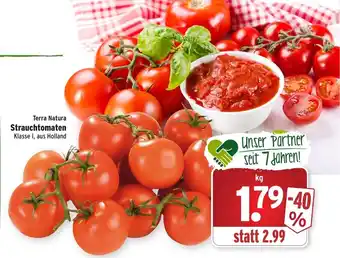 Wasgau Terra Natura Strauchtomaten Angebot