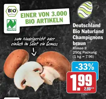 HIT Deutschland Bio Naturland Champignons braun Angebot