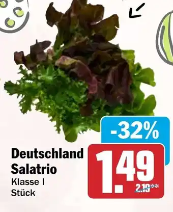 HIT Deutschland Salatrio Angebot