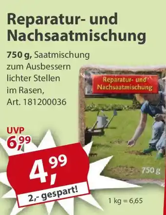 Sonderpreis Baumarkt Reparatur- und Nachsaatmischung Angebot