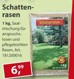 Sonderpreis Baumarkt Schattenrasen Angebot