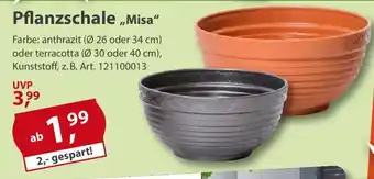 Sonderpreis Baumarkt Pflanzschale „Misa" Angebot