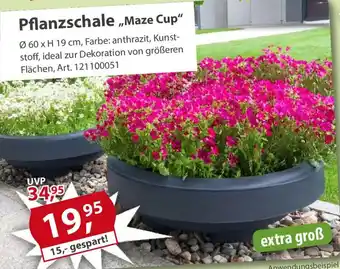 Sonderpreis Baumarkt Pflanzschale,,Maze Cup" Angebot
