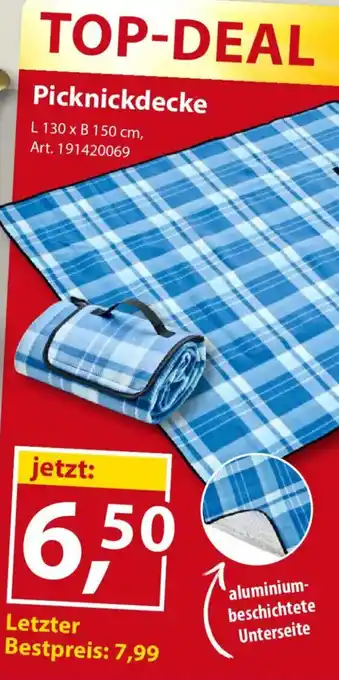 Sonderpreis Baumarkt Picknickdecke Angebot