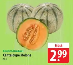 Famila Nord Ost Brasilien/Honduras Cantaloupe Melone Angebot
