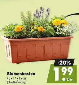 Mäc Geiz Blumenkasten Angebot