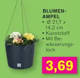 KODi BLUMENAMPEL Angebot