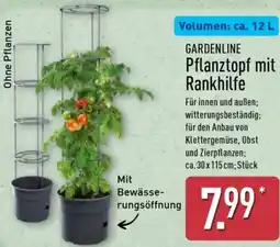 Aldi Nord GARDENLINE Pflanztopf mit Rankhilfe Angebot