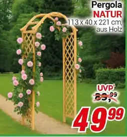 CENTERSHOP Pergola NATUR Angebot
