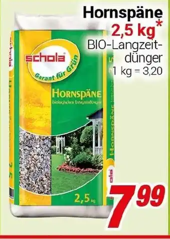 CENTERSHOP Hornspäne Angebot